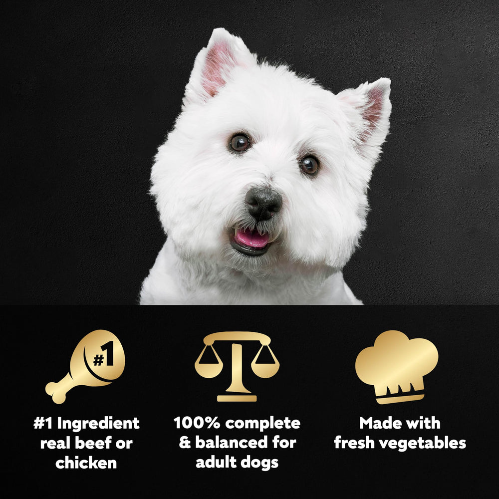 Cesar Wholesome Bowls poulet et legumes, repas équilibré pour chien.