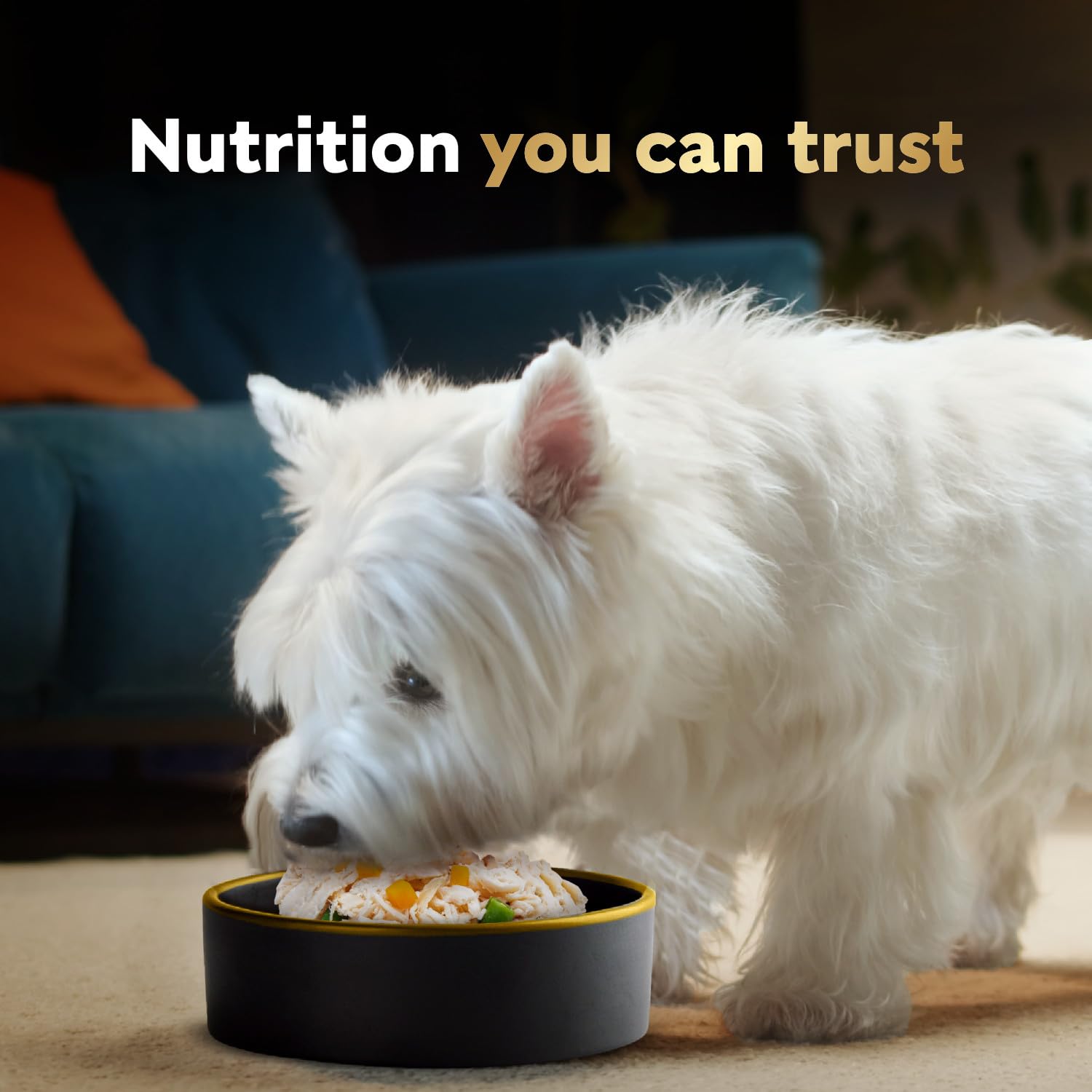 Ragoût lent dans Cesar Wholesome Bowls pour conserver goût et fraîcheur