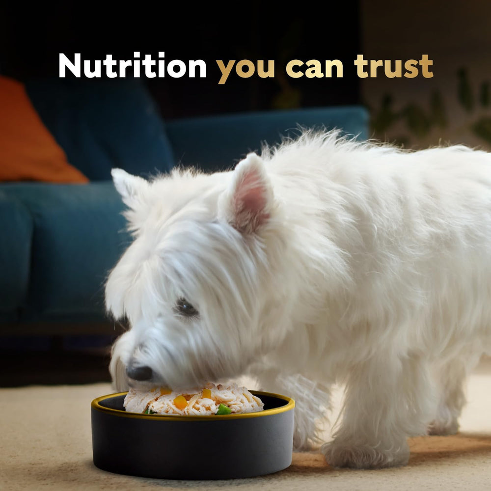 Ragoût lent dans Cesar Wholesome Bowls pour conserver goût et fraîcheur