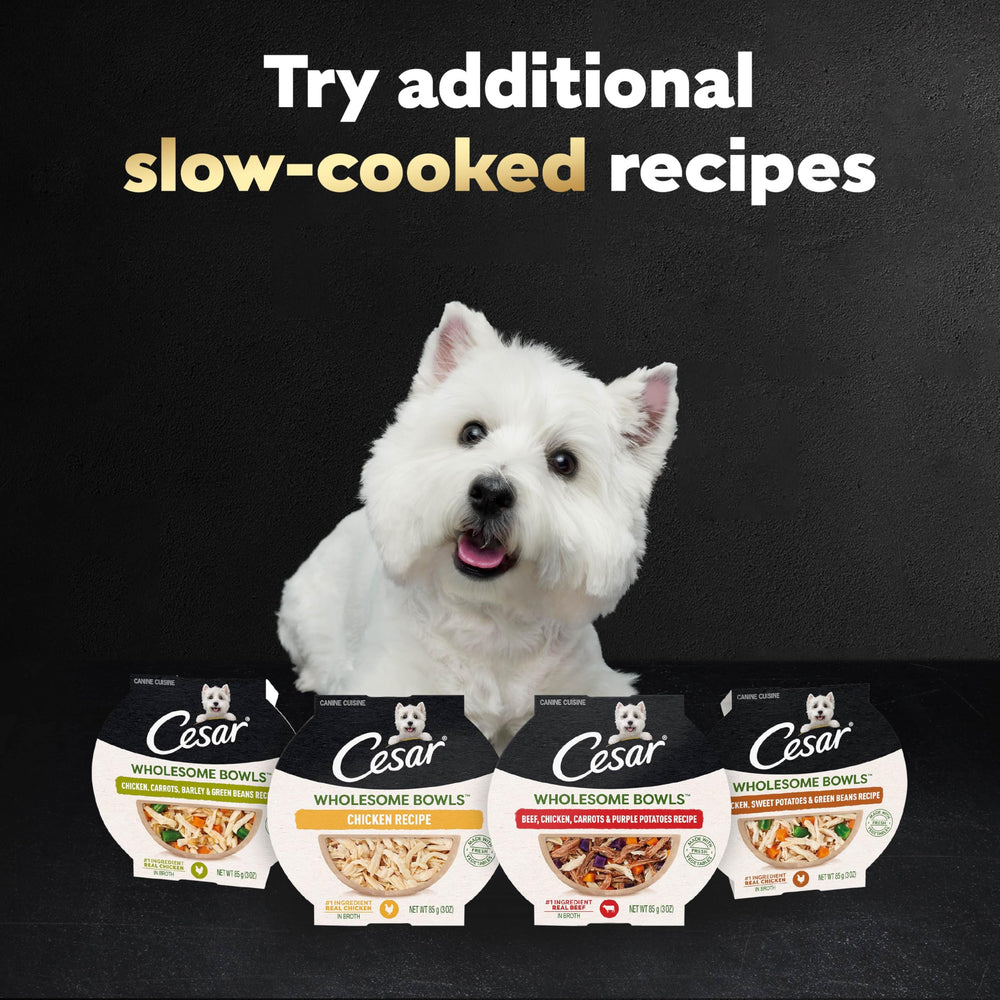 Cesar Wholesome Bowls sur-kibble: parfait comme topping sur croquettes favorites