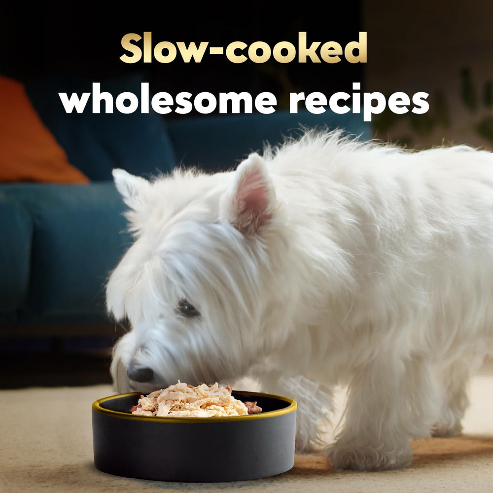 Cesar Wholesome Bowls texture-cremeuse: repas agréable et facile à digérer pour chien