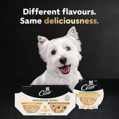 Cesar Wholesome Bowls topping sur croquettes pour varier les repas