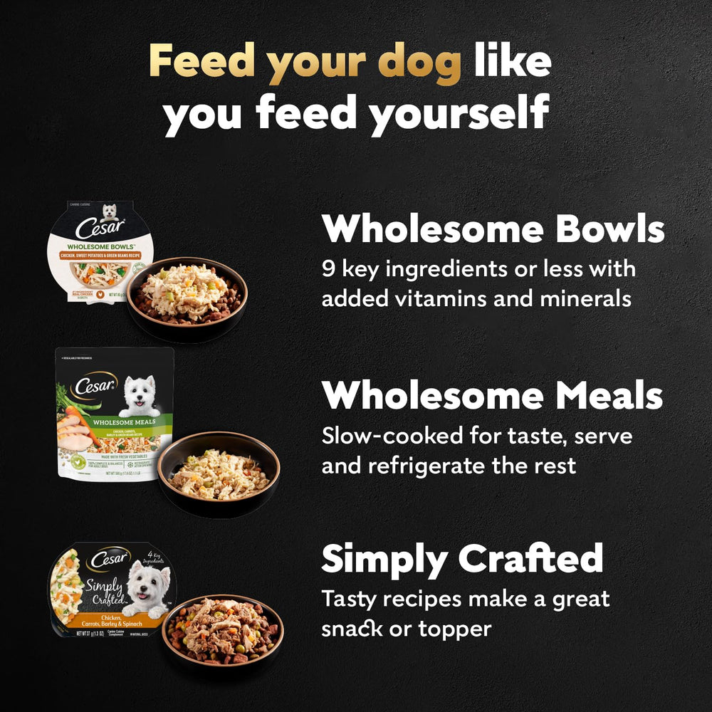 Cesar Wholesome Bowls variete-pack, choix gourmand pour chien.
