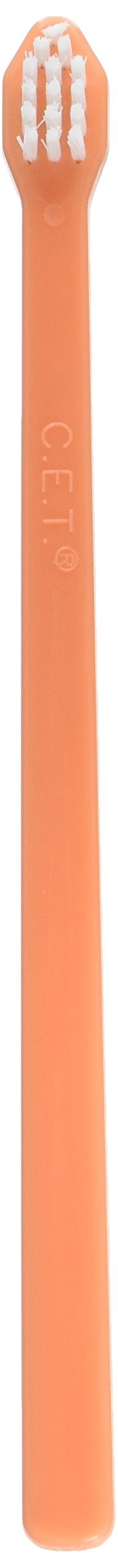 Brosse CET pour animaux, vue rapprochée, facilite l'hygiène buccale des petits chiens et chats.
