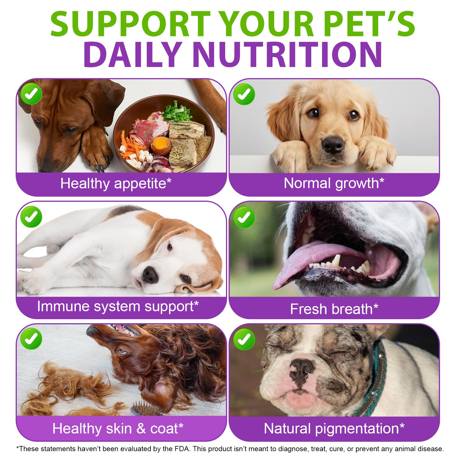 CFXYHNOX gouttes multivitamine chien articulations hanches, soutien mobilité.