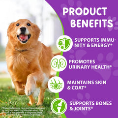 CFXYHNOX gouttes multivitamine chien saveur bacon, facilité de prise quotidienne.