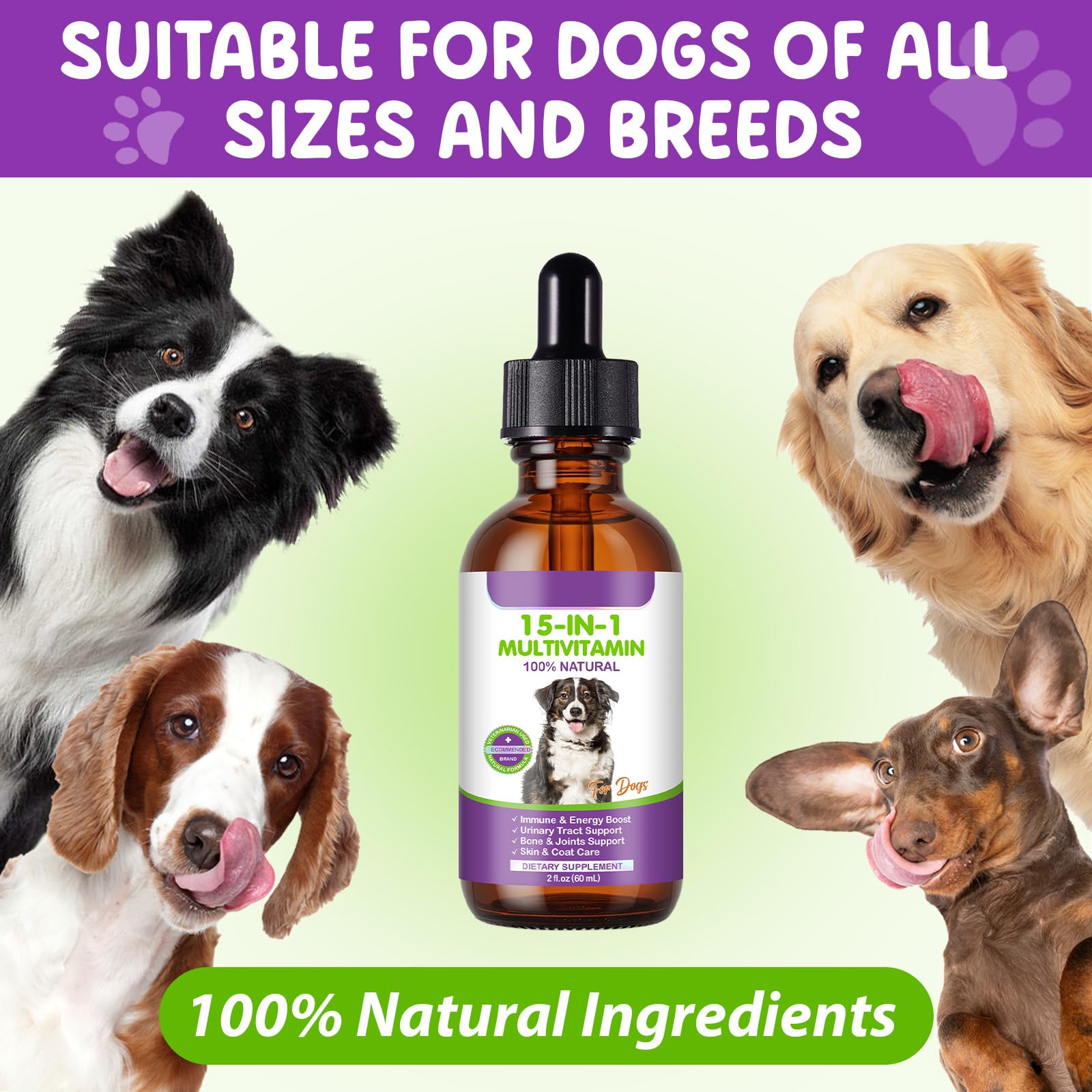 CFXYHNOX gouttes multivitamine chien usage nourriture eau, mélange facile.