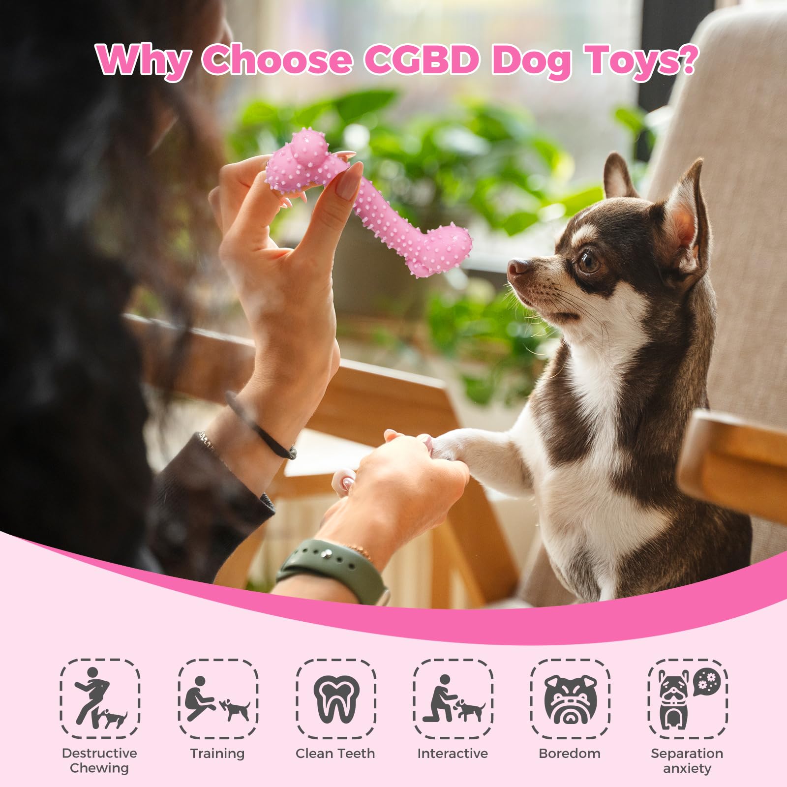 Jouets CGBD Chiot: bosses dentaires qui aident au nettoyage et au massage des gencives.
