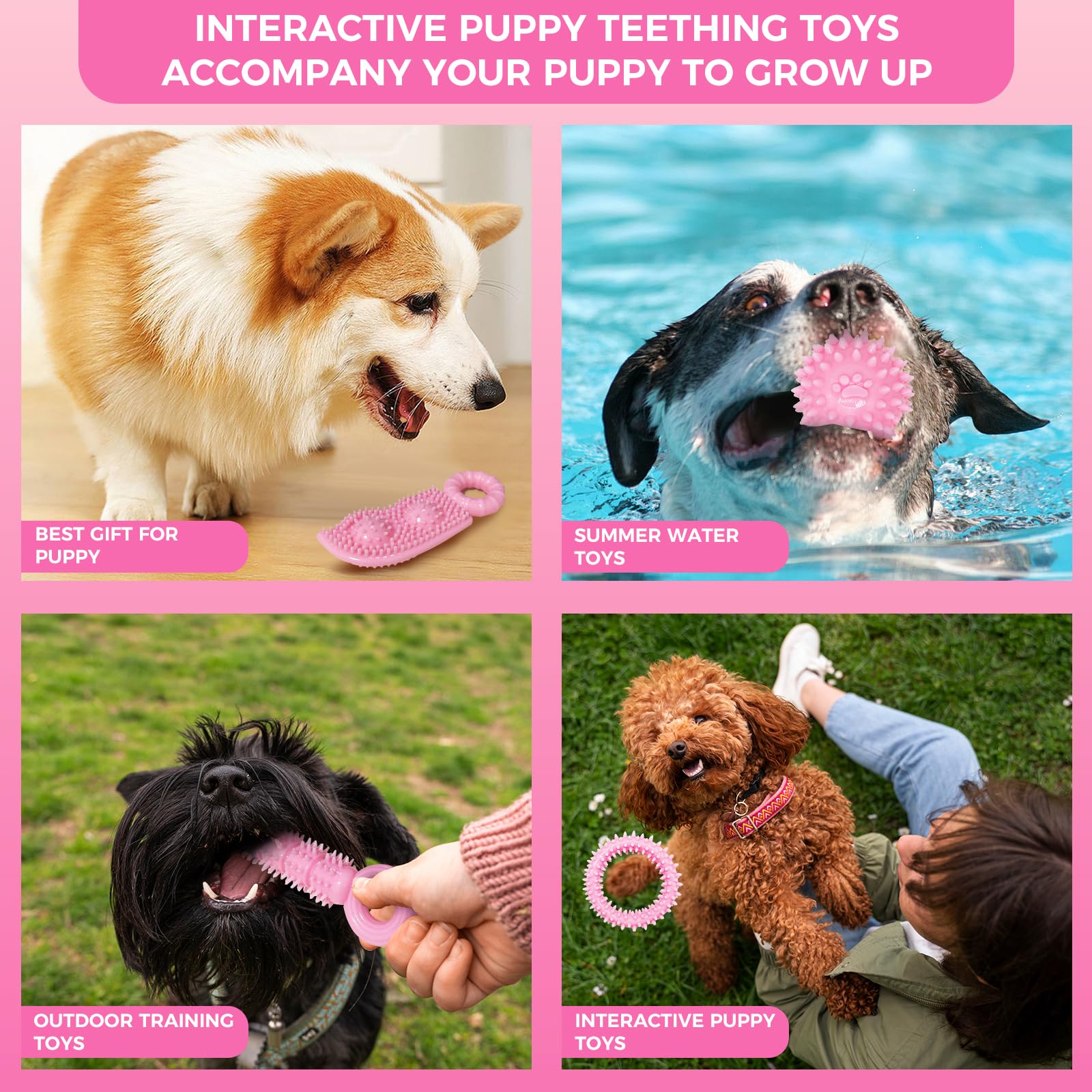 Jouets CGBD Chiot: usage supervisé recommandé pour chiots actifs.