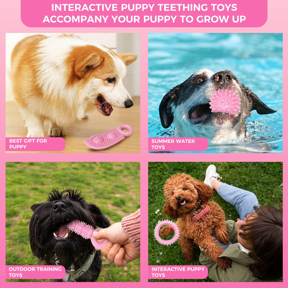 Jouets CGBD Chiot: usage supervisé recommandé pour chiots actifs.
