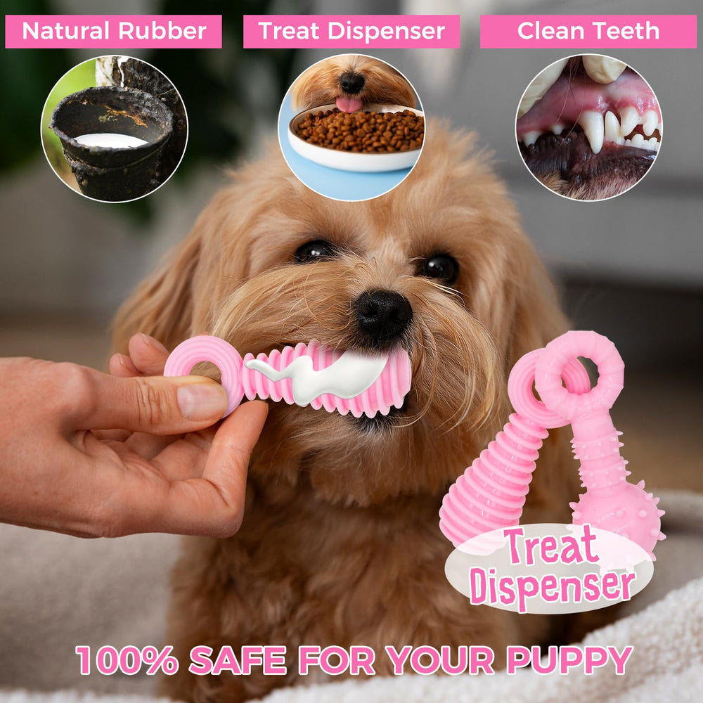 Jouets CGBD Chiot: caoutchouc naturel sûr pour mâchouiller et mordiller sans danger.