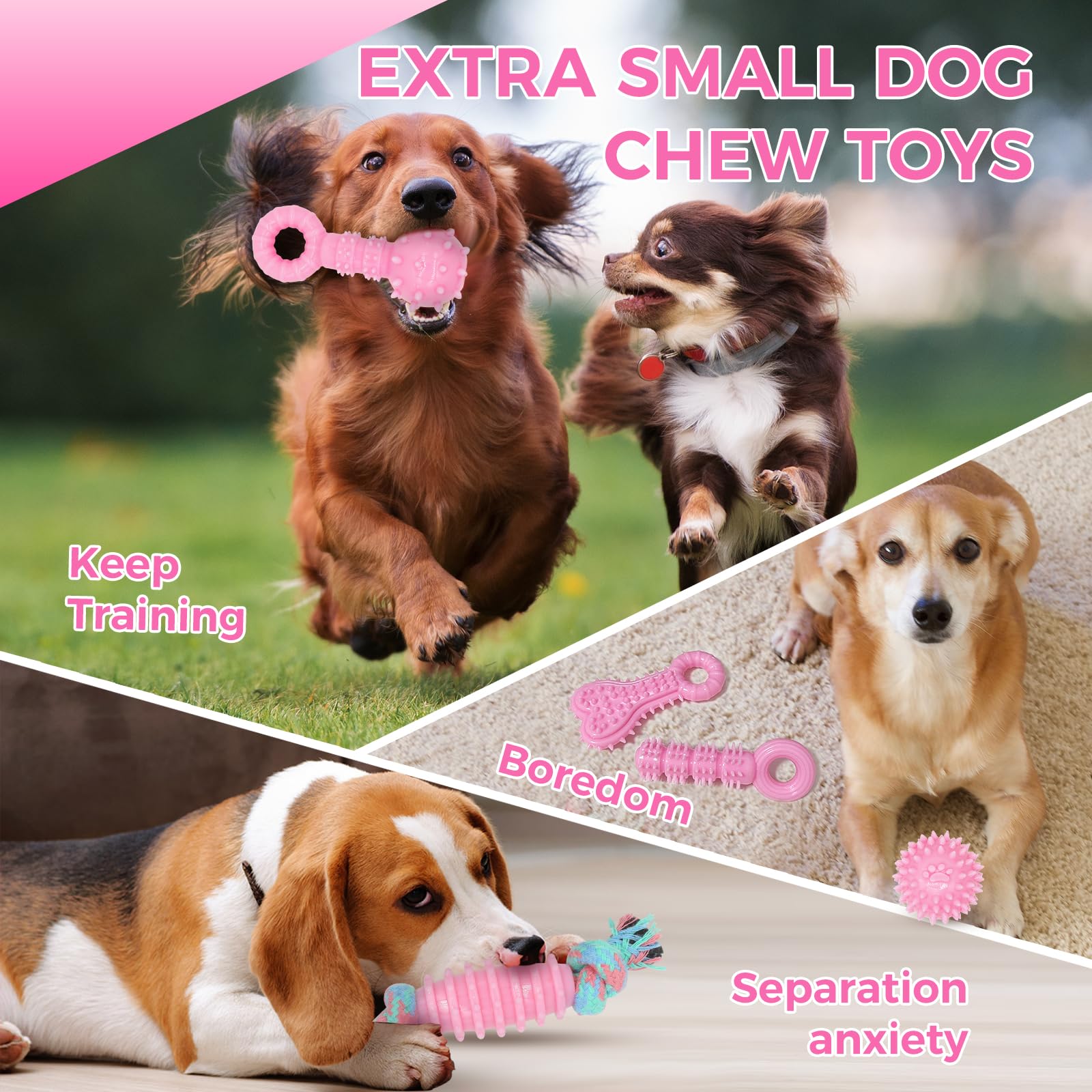 Jouets CGBD Chiot: cadeau parfait qui divertit et canalise les morsures.