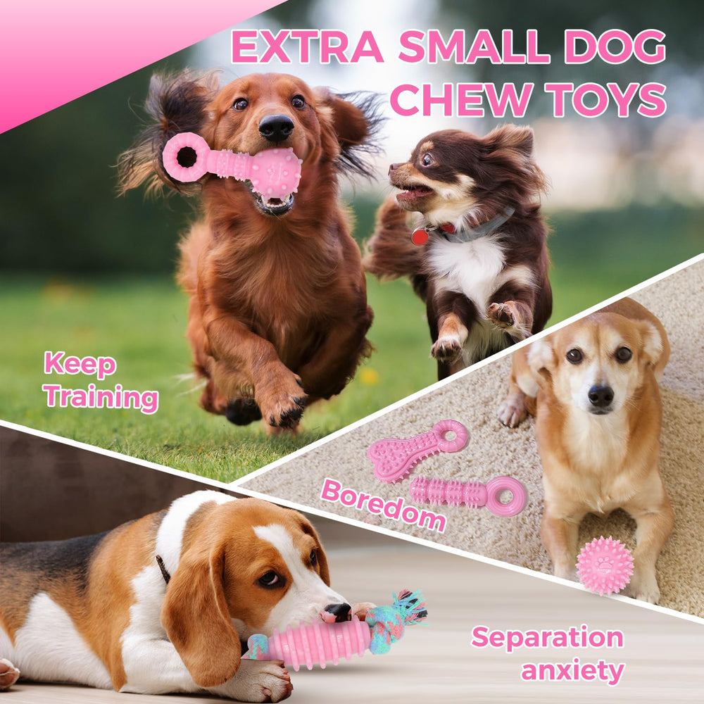 Jouets CGBD Chiot: cadeau parfait qui divertit et canalise les morsures.