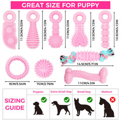 Jouets CGBD Chiot: surface interactive idéale pour l'entraînement des petits chiens.