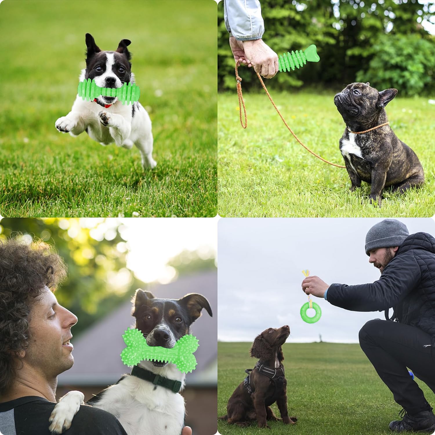 Jouet CGBD chiot: supervision conseillée pour usage sûr et durable.
