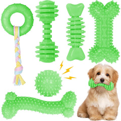 Jouet CGBD chiot: 6 formes différentes pour la dentition et l'amusement.