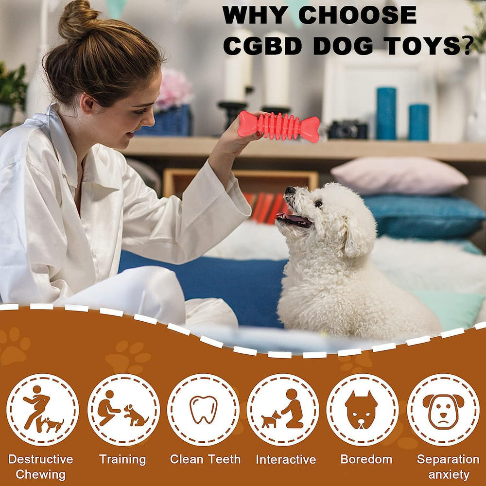 CGBD jouets à formes variées pour chiots, stimulation et massage des gencives.