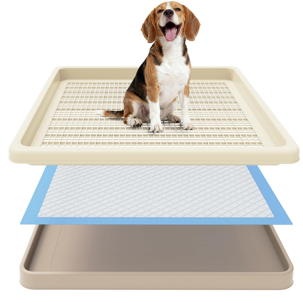 CH24Globall porte-tapis-pipi-chien-maille-deux-couches protège tapis et pattes.