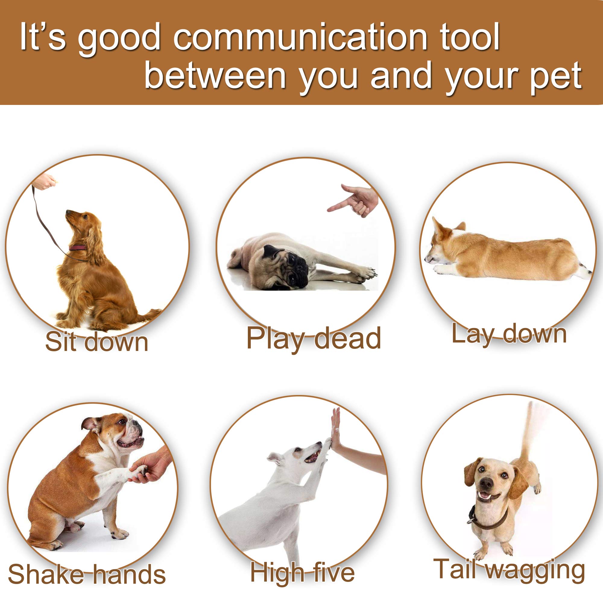 Chadou entrainement animaux, outil clic efficace pour divers compagnons.