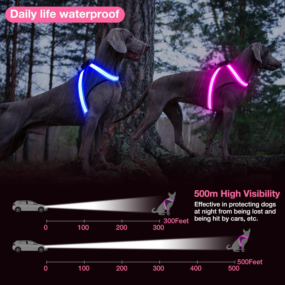 ChalkLit harnais mesh confort: maille respirante et douceur pour le chien.