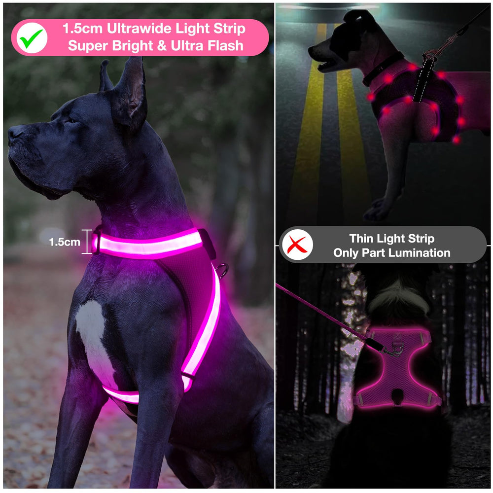 ChalkLit harnais chien: mise en place rapide et ajustement pratique.