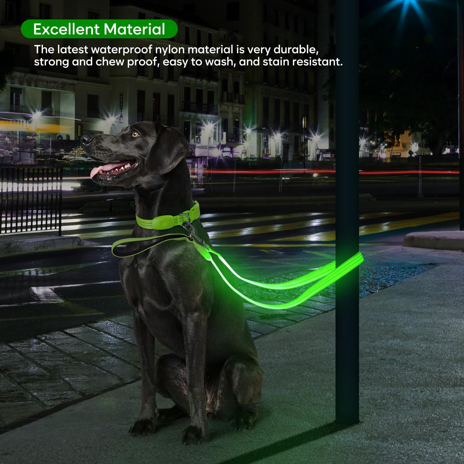 Utilisation en extérieur ChalkLit adaptée aux chiens moyens et grands.