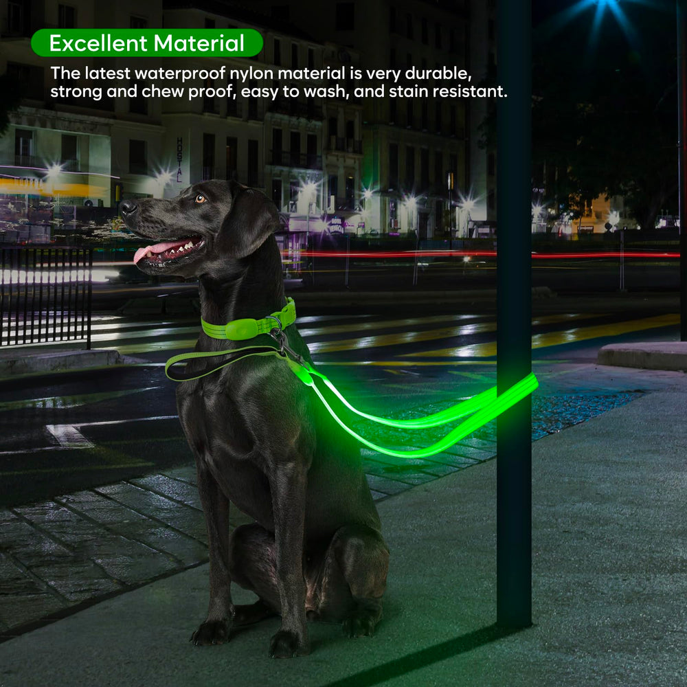 Utilisation en extérieur ChalkLit adaptée aux chiens moyens et grands.