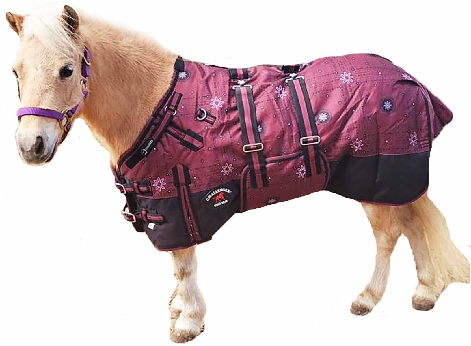CHALLENGER 1200D: couverture imperméable pour petit cheval et mini-âne, garde au sec.