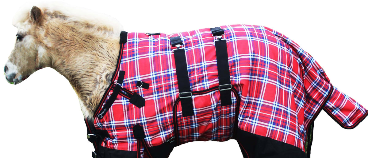 Couverture CHALLENGER 1200D pour poulain, bulk extérieur robuste et durable.