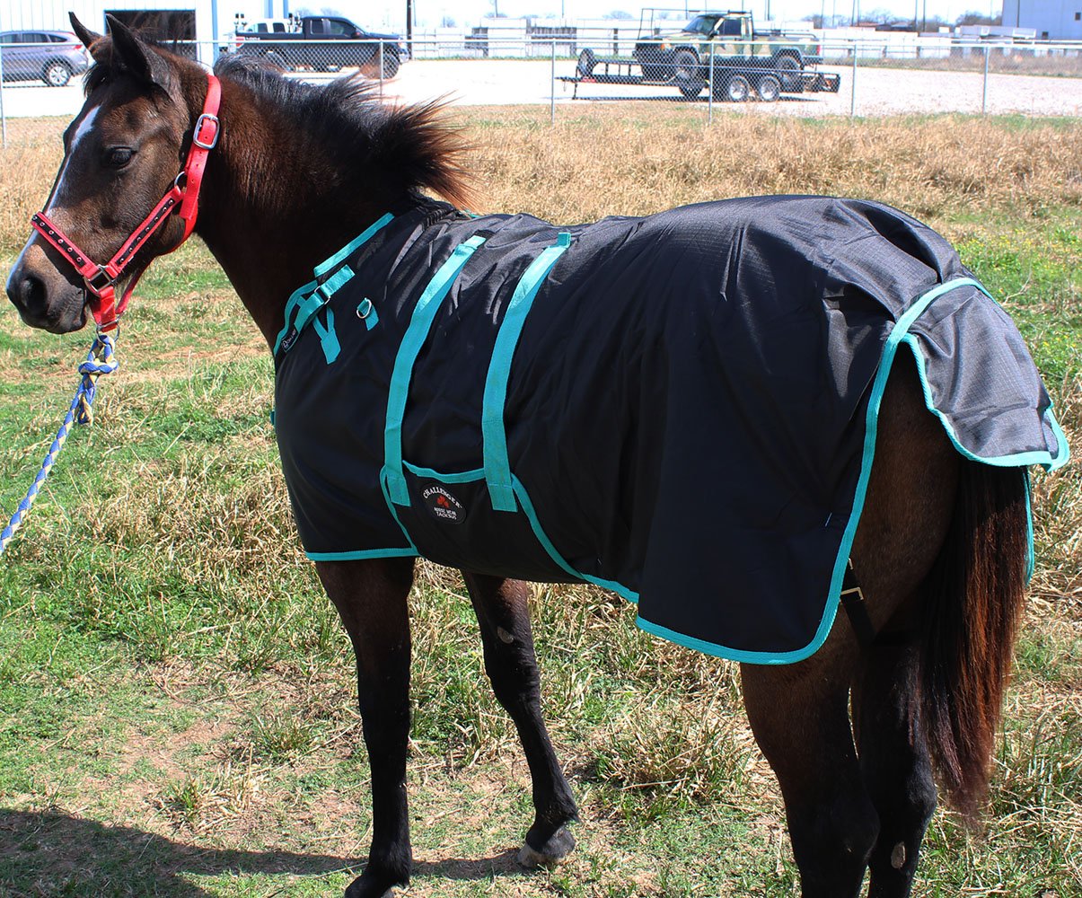 Isolation 250 g/m² Challenger, chaleur adaptée sans surcharger le cheval