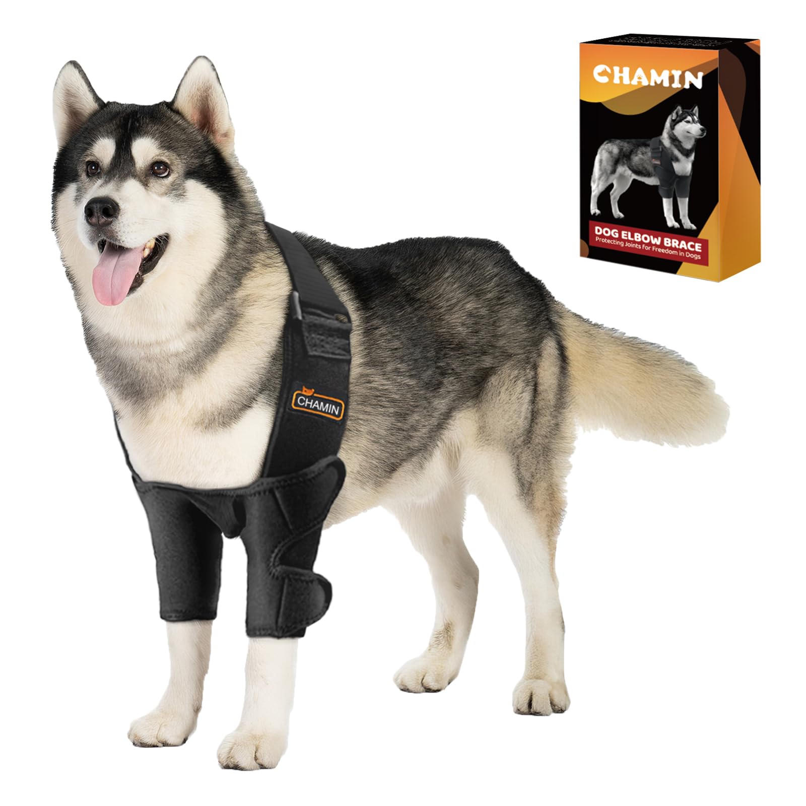CHAMIN attelle coude chien gauche, soutien ajustable pour mobilité quotidienne.