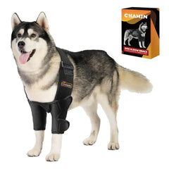 CHAMIN attelle coude chien gauche, soutien ajustable pour mobilité quotidienne.