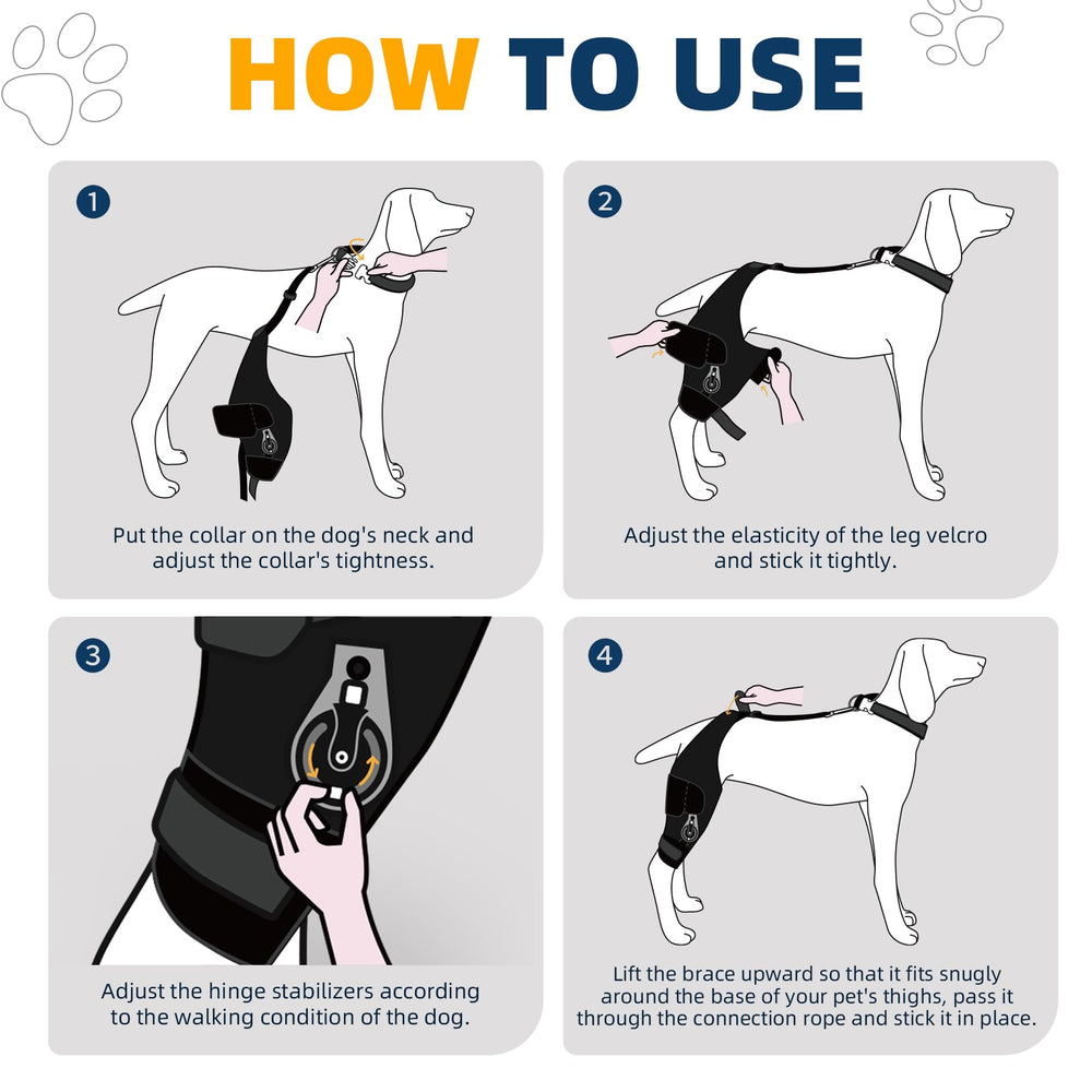 CHAMIN confort-ajustement-genou-chien: maintien personalise et confortable