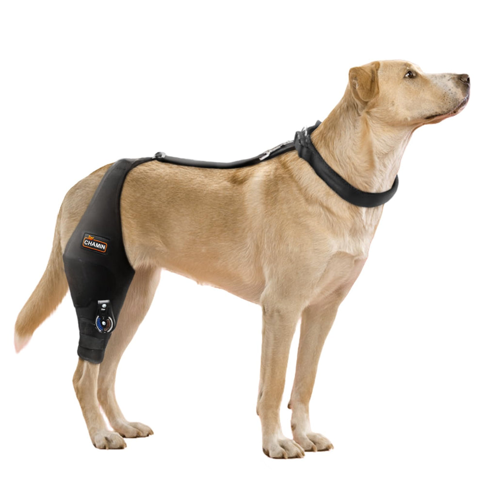 CHAMIN genou-chien-ajustable-droit-xl: soutien fiable pour mobilité