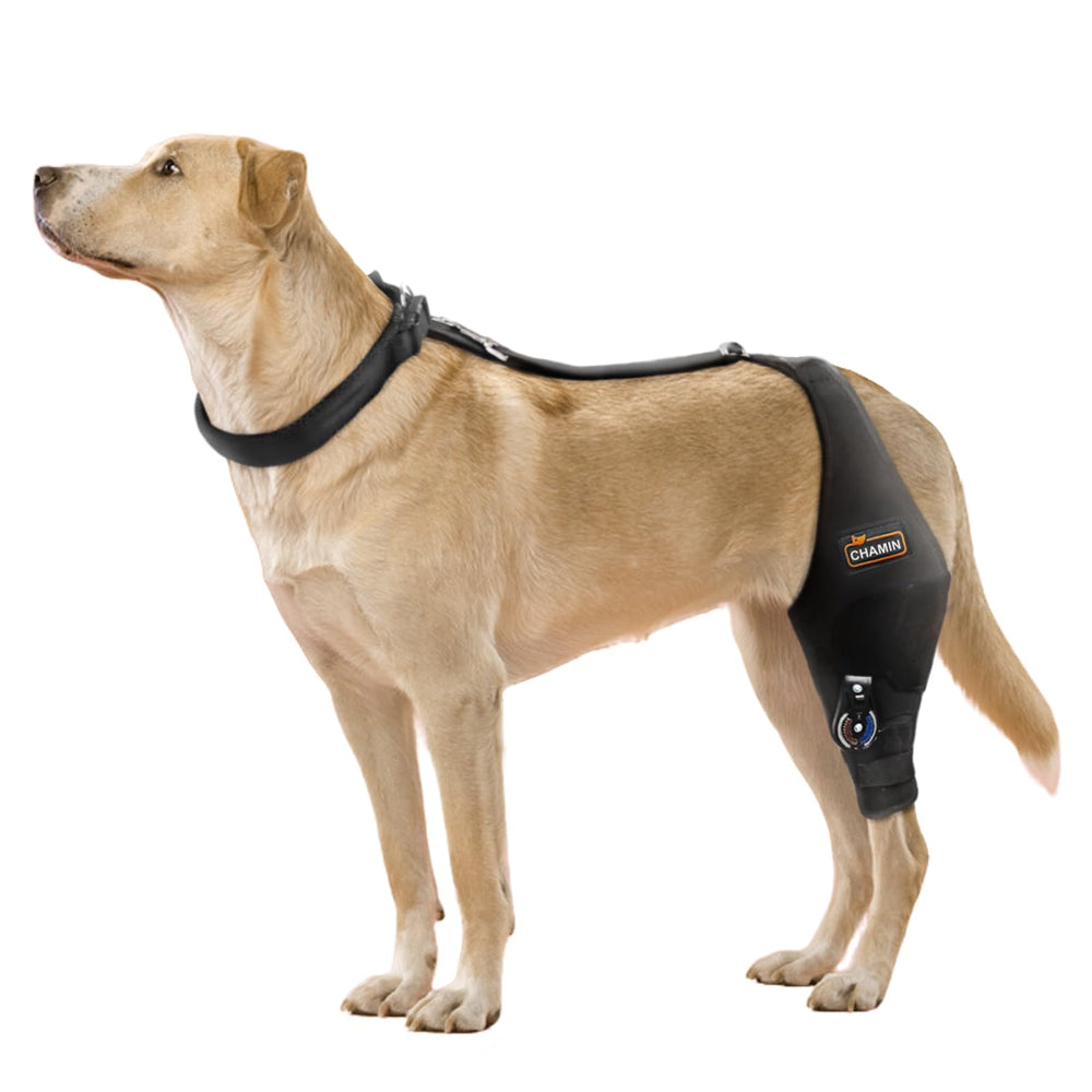 CHAMIN Attelle genou chien ajustable gauche XL : soutien ciblé et confortable.