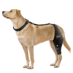 CHAMIN Attelle genou chien ajustable gauche XL : soutien ciblé et confortable.