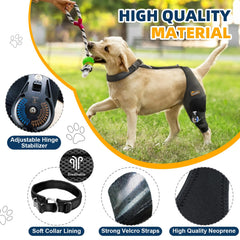 CHAMIN genou-chien-arthrose-soutien aide à rester mobile