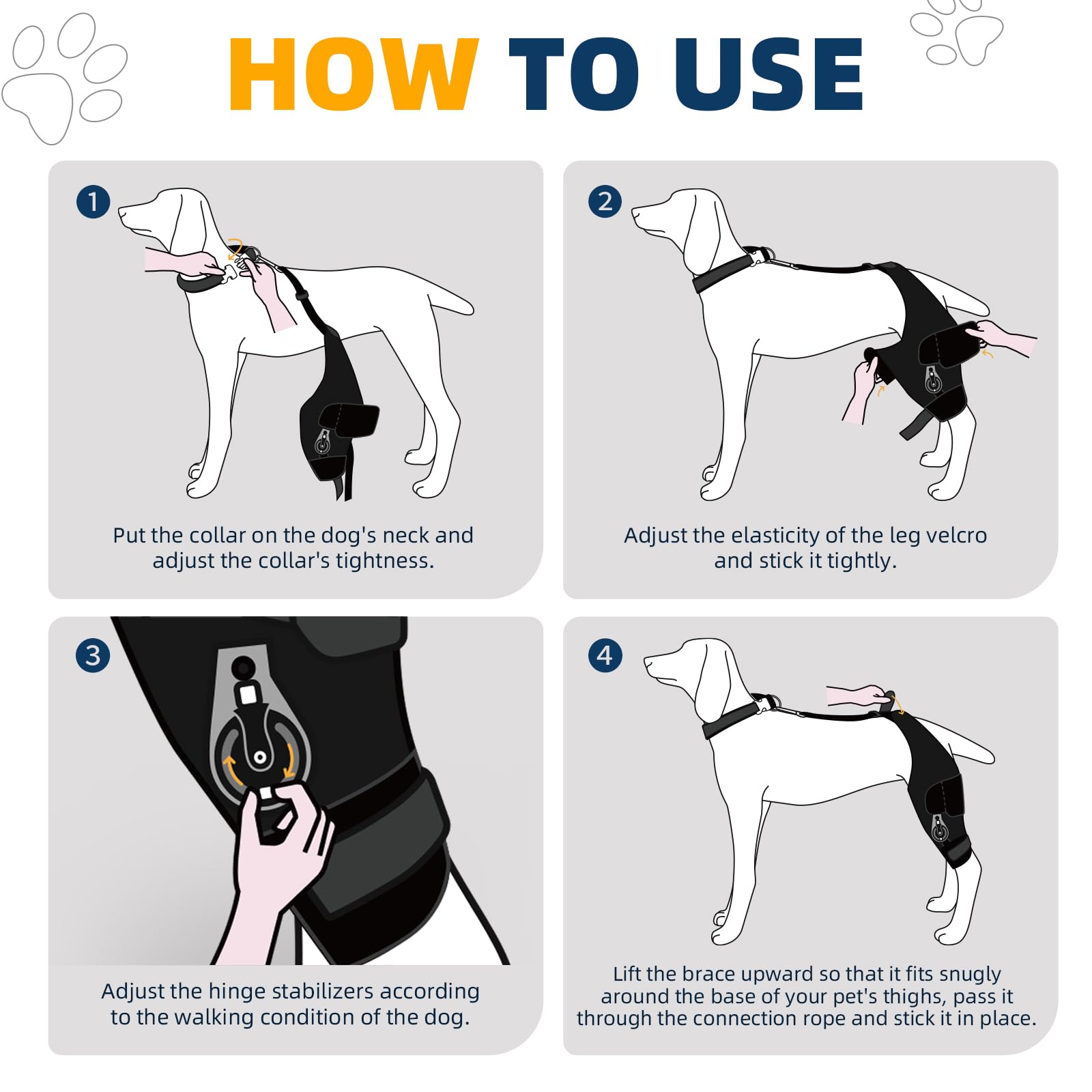 CHAMIN genou-chien-reglage-durable pour usage quotidien