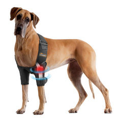 CHAMIN protége-coude chien XXL, vue de face, soutien léger pour mobilité quotidienne.