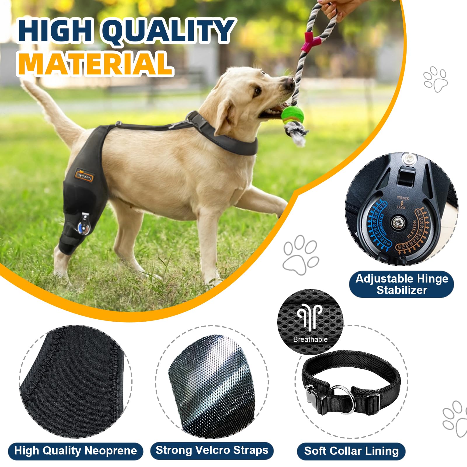 CHAMIN stabilisateur-genou-chien-qualite-haute: stabilité pendant l’activité.