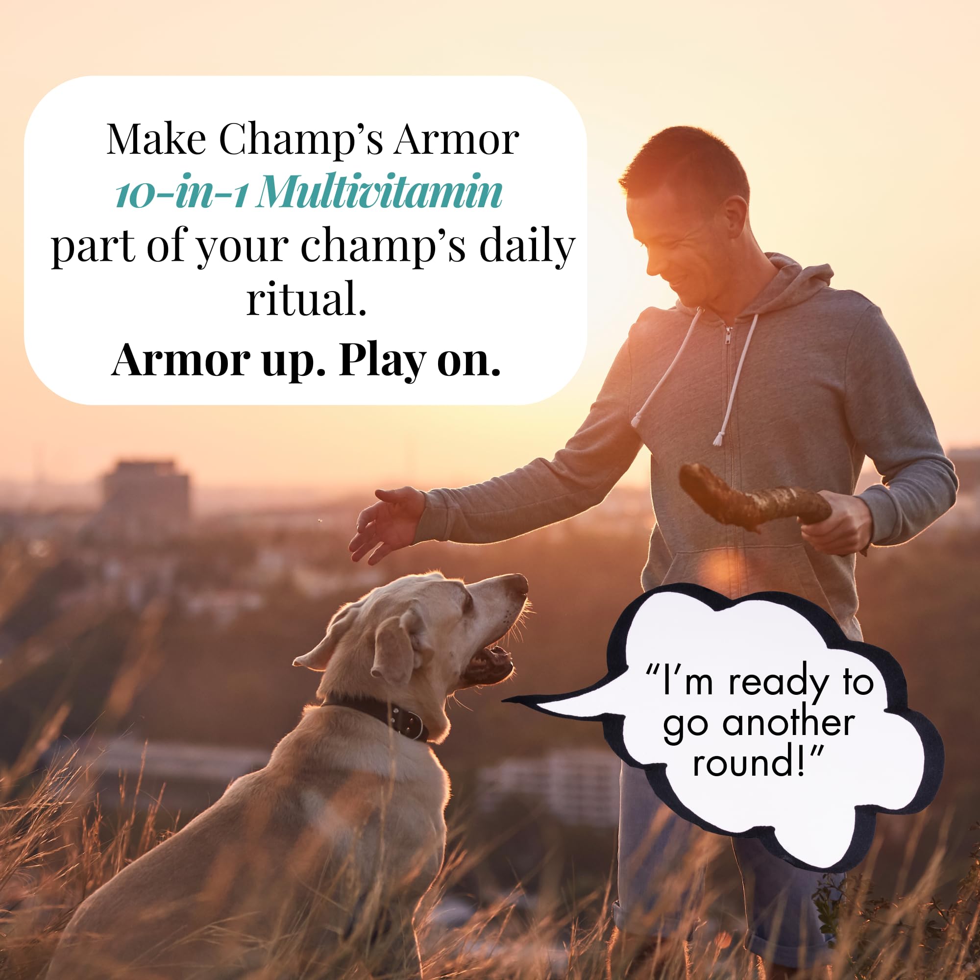 Champ's Armor bouchées quotidiennes pratiques et savoureuses.