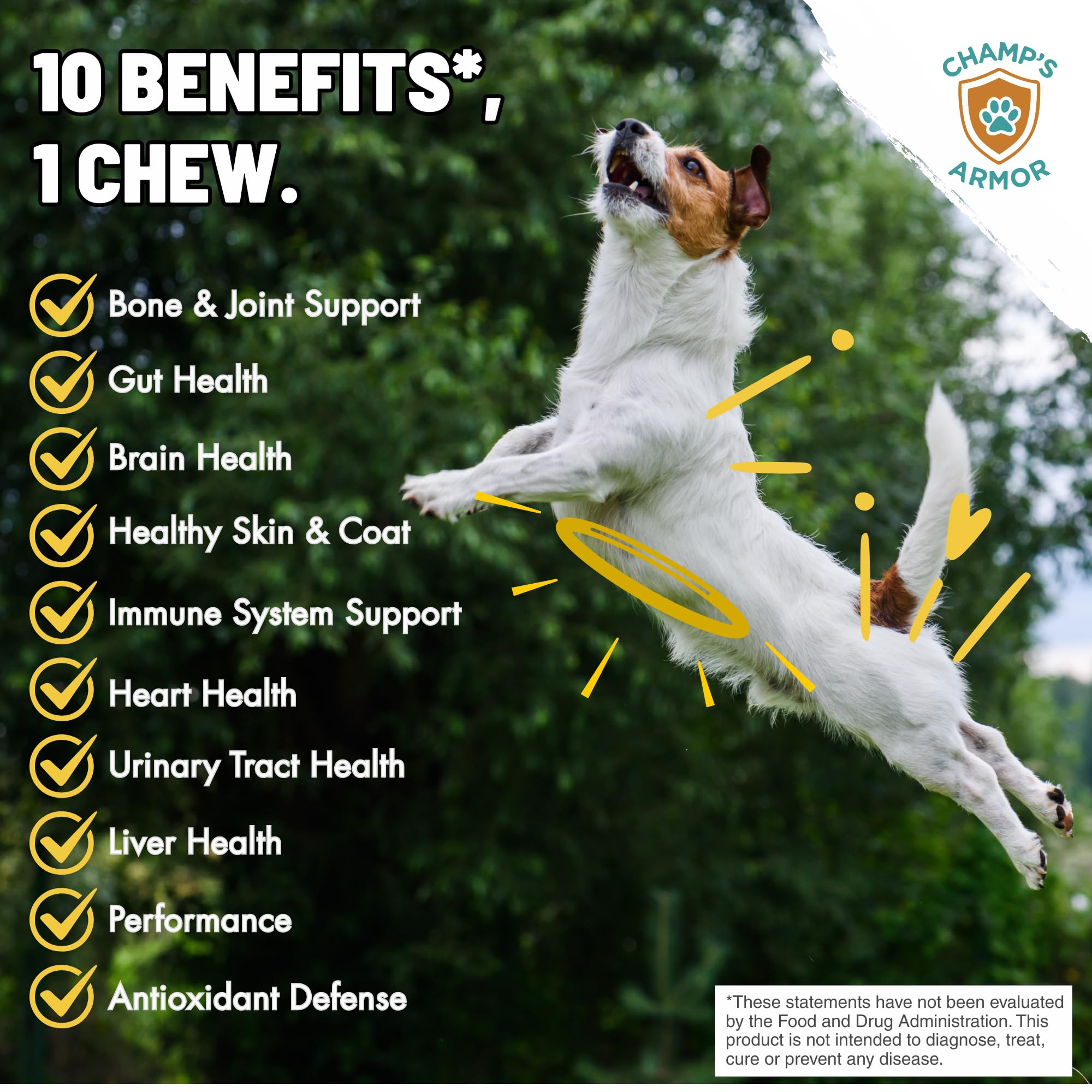 Champ's Armor glucosamine et MSM pour articulations et mobilité.