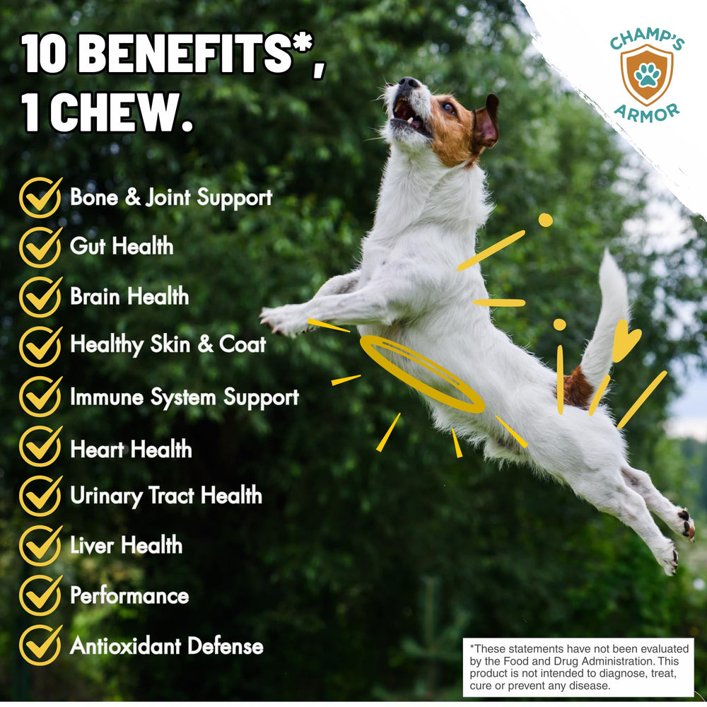 Champ's Armor glucosamine et MSM pour articulations et mobilité.