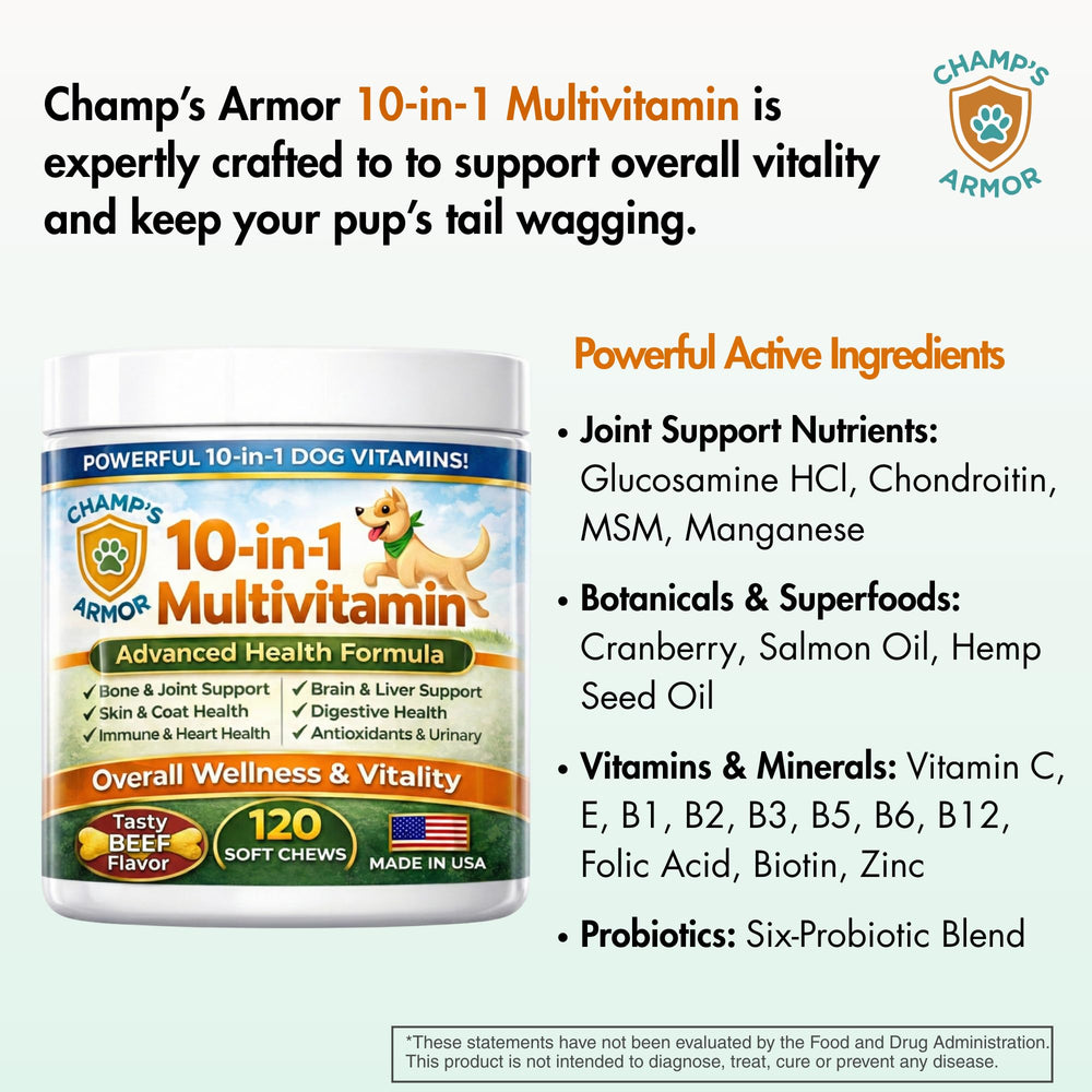 Champ's Armor huile de saumon pour pelage brillant et peau saine.