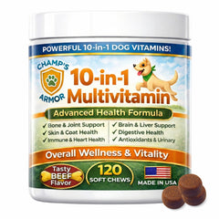 Champ's Armor – boite multivitamine chien 10-en-1, soutien quotidien.
