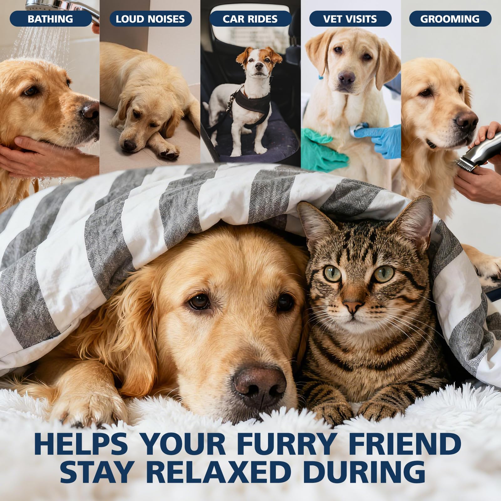 CHANUBITO huile de chanvre pour chiens et chats, compte-gouttes précis pour dosages faciles.