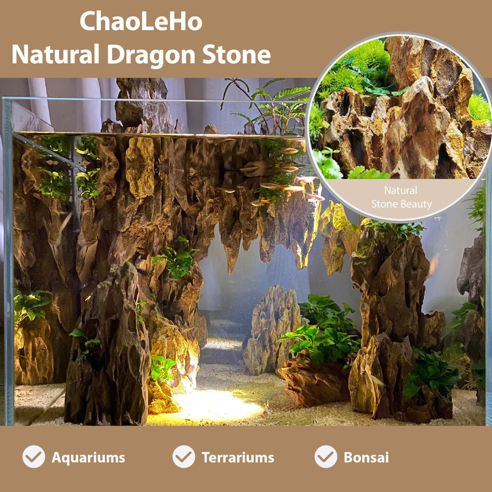 ChaoLeHo Dragon Rocks – structure emboîtée facilitant l'agencement.