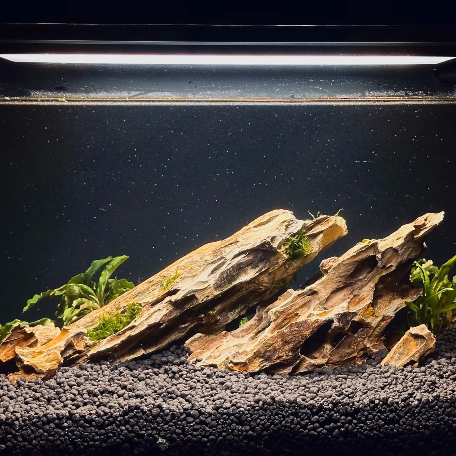 ChaoLeHo Dragon Rocks – idéal pour aquascaping, cascades et grottes.
