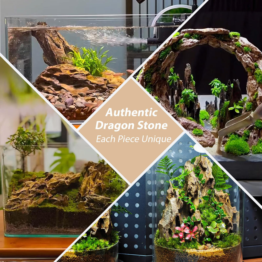 ChaoLeHo Dragon Rocks – matériau sûr pour écosystèmes aquatiques.