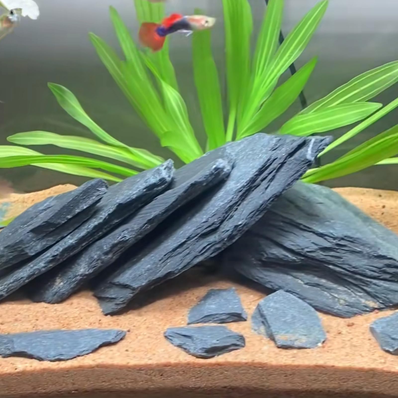 ChaoLeHo ardoise naturelle pour aquarium, décor élégant et stable.
